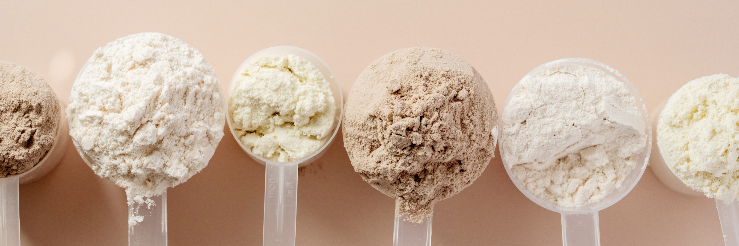nutritional drinks, protein drinks, and meal replacement drinks powder scoops in different flavours and colours. ernährung-getränke, protein getränke, und Mahlersatzgetränke